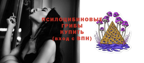 ГАЛЛЮЦИНОГЕННЫЕ ГРИБЫ Алзамай