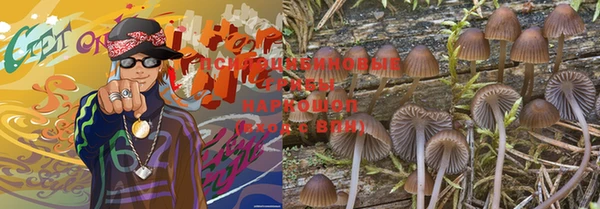 ешки Алексеевка